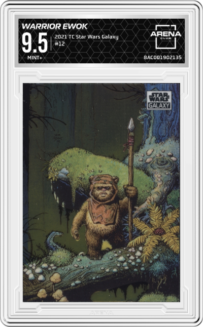 Warrior Ewok