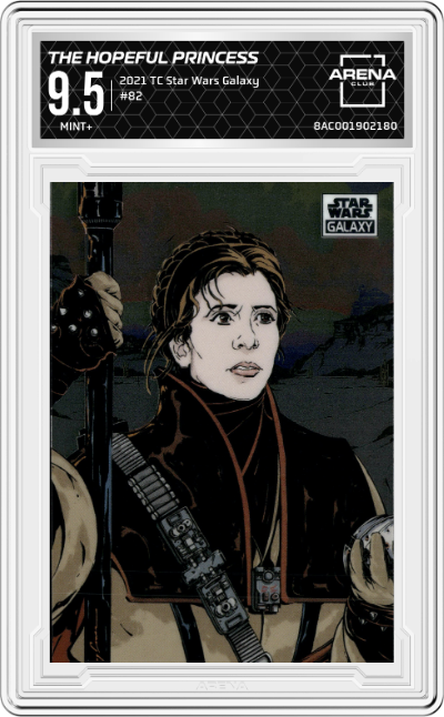 The Hopeful Princess