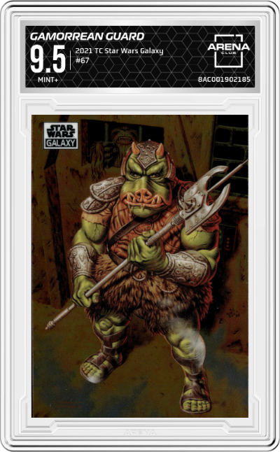 Gamorrean Guard