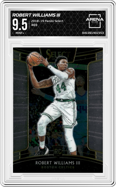 Robert Williams III