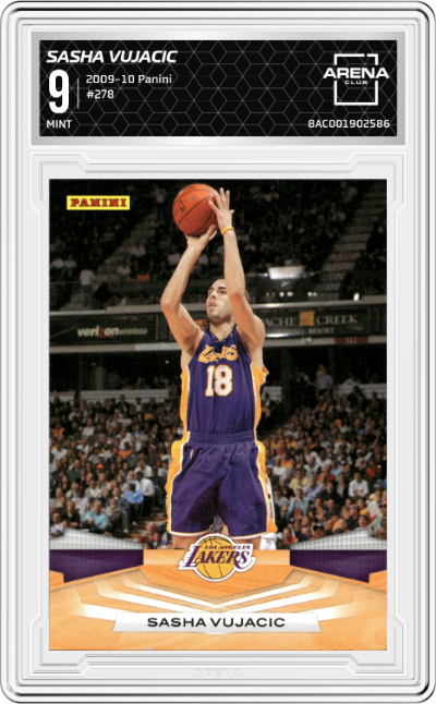 Sasha Vujacic