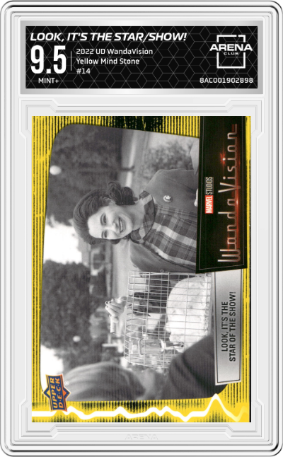 Look, It's the Star of the Show!