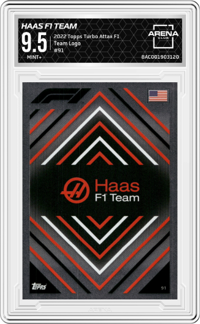 Haas F1 Team