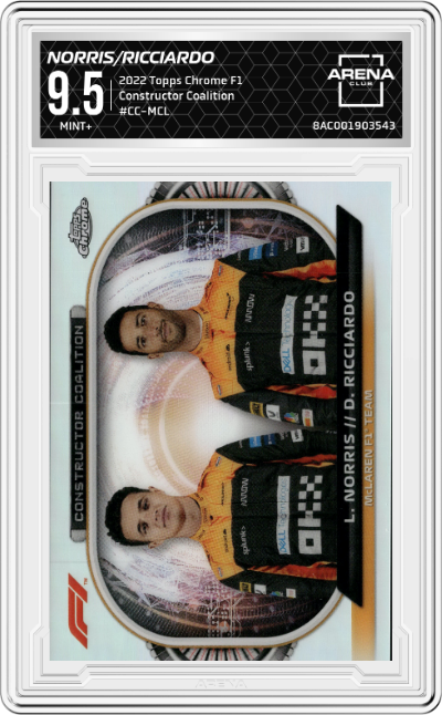 Lando Norris/Daniel Ricciardo