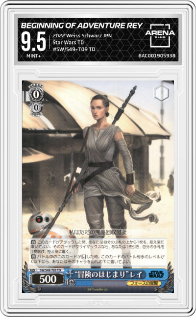Beginning Of Adventure Rey