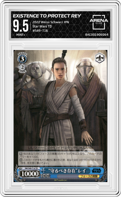 Existence to Protect Rey