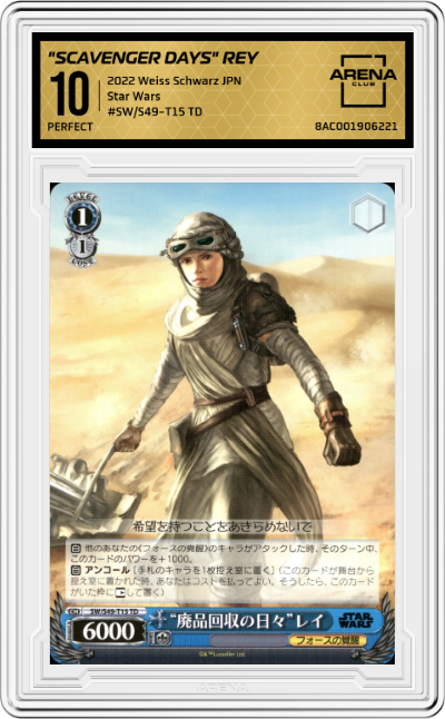 "Scavenger Days" Rey