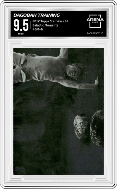 Dagobah Training