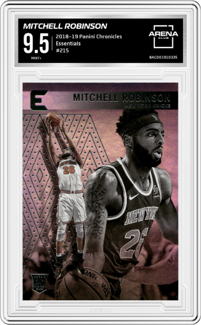 Mitchell Robinson