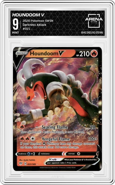 Houndoom V