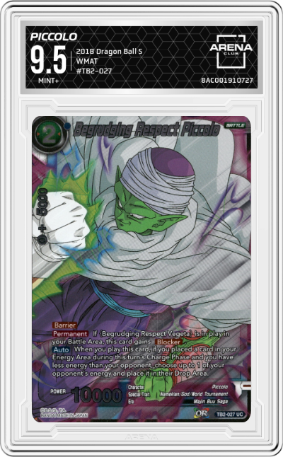 Begrudging Respect Piccolo