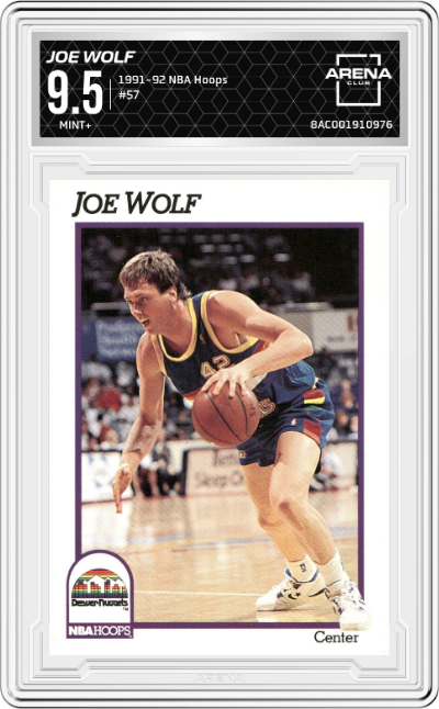 Joe Wolf