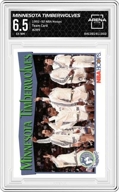 Minnesota Timberwolves