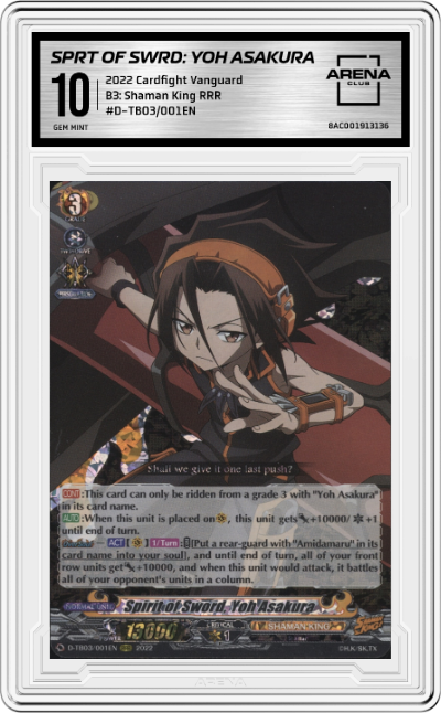 Spirit of Sword: Yoh Asakura