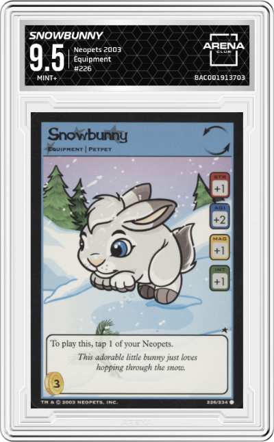 Snowbunny