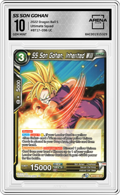 SS Son Gohan, Inherited Will
