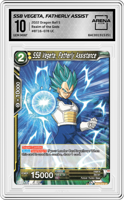 SSB Vegeta, Fatherly Assistance