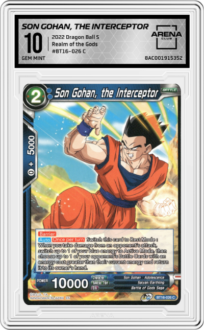 Son Gohan, the Interceptor