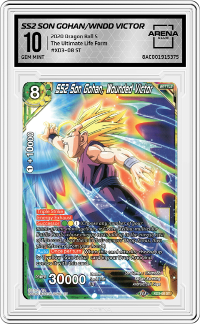 SS2 Son Gohan, Wounded Victor