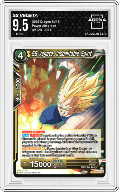 SS Vegeta, Indomitable Spirit