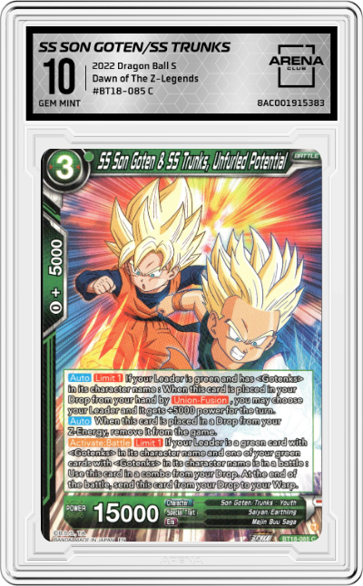 SS Son Goten & SS Trunks, Unfurled Potential