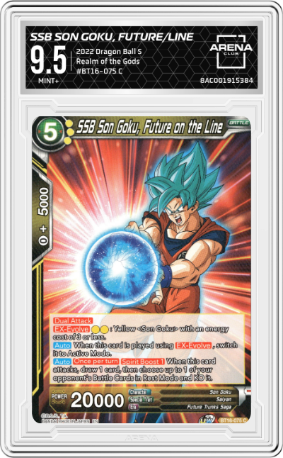 SSB Son Goku, Future on the Line