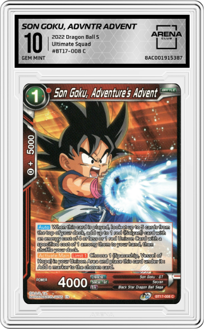 Son Goku, Adventure's Advent