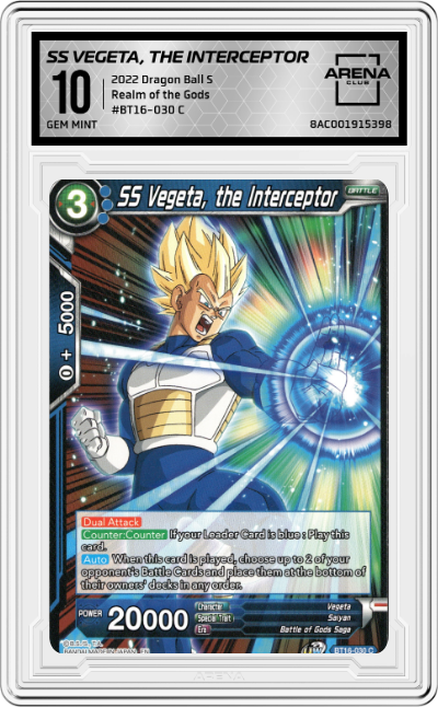 SS Vegeta, the Interceptor