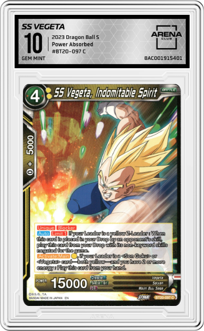 SS Vegeta, Indomitable Spirit