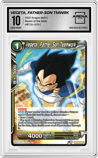 Vegeta, Father-Son Teamwork