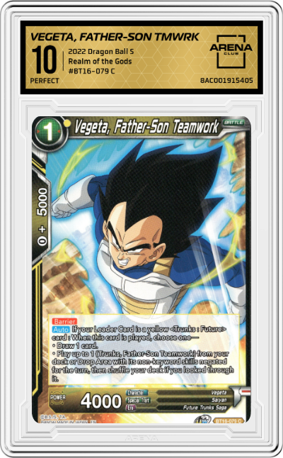 Vegeta, Father-Son Teamwork