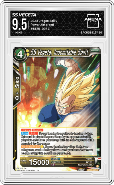 SS Vegeta, Indomitable Spirit