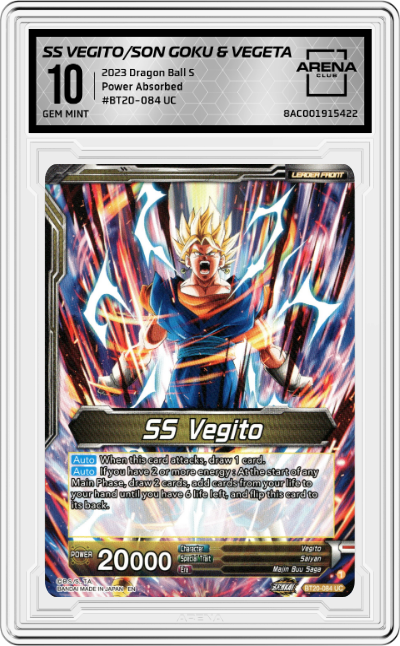SS Vegito/Son Goku & Vegeta, Path to Victory