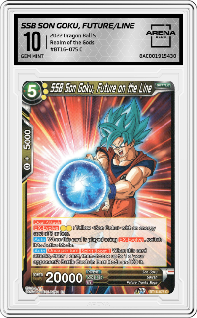 SSB Son Goku, Future on the Line