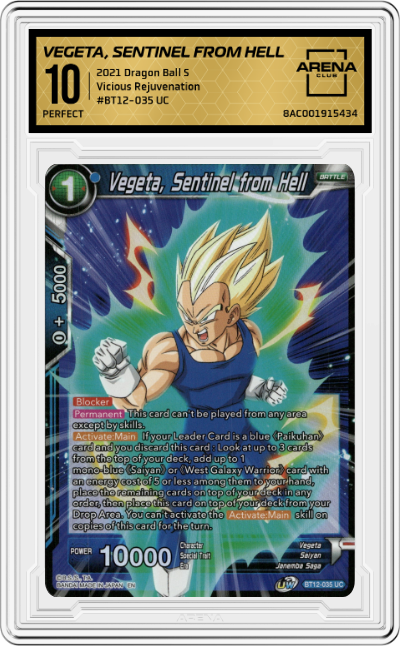 Vegeta, Sentinel From Hell