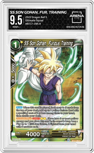 SS Son Gohan, Furious Training