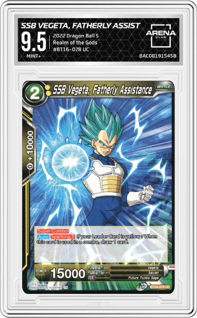 SSB Vegeta, Fatherly Assistance
