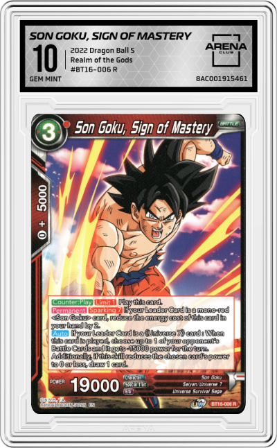 Son Goku, Sign of Mastery
