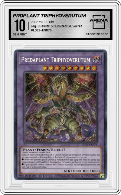 Predaplant Triphyoverutum