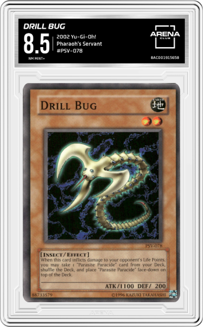 Drill Bug