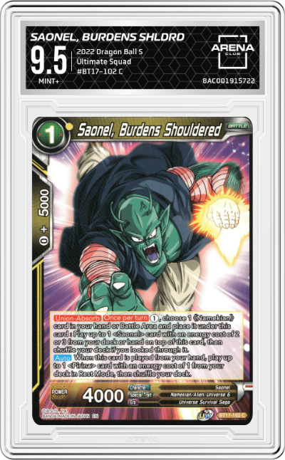 Saonel, Burdens Shouldered