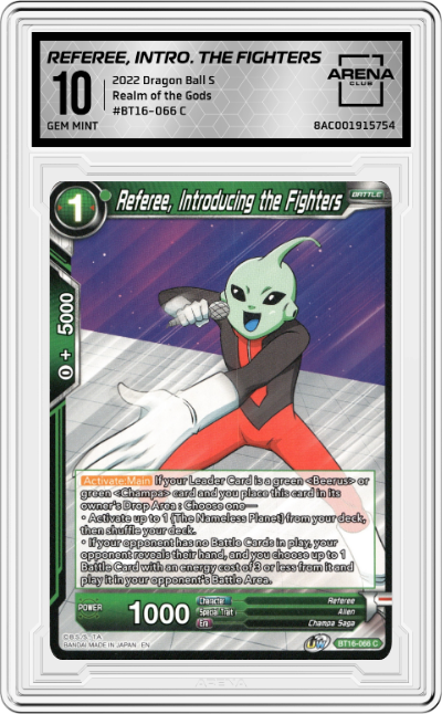 Referee, Introducing the Fighters