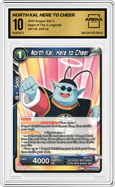 North Kai, Here to Cheer