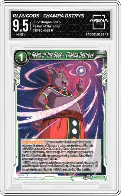 Realm of the Gods - Champa Destroys