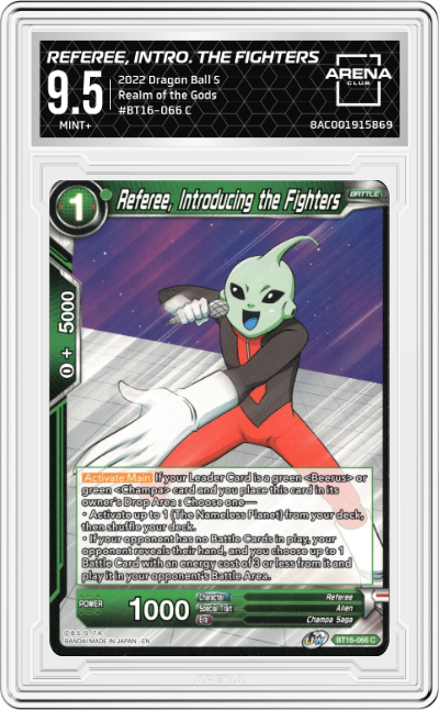 Referee, Introducing the Fighters