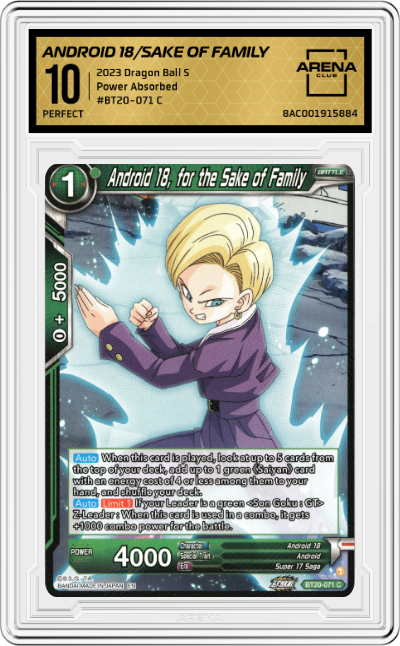 Android 18, for the sake of Family