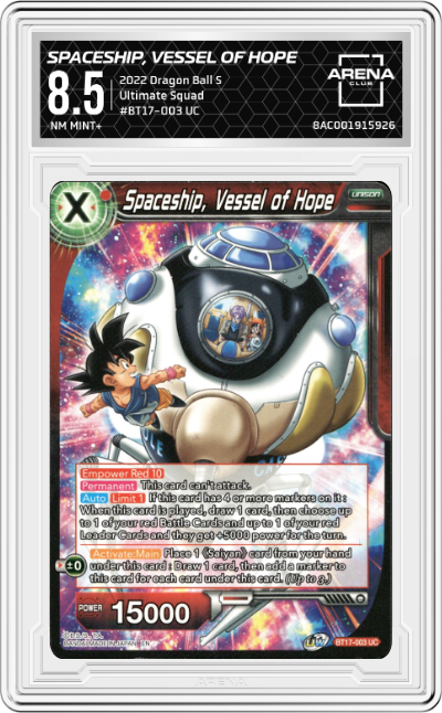 Spaceship, Vessel of Hope