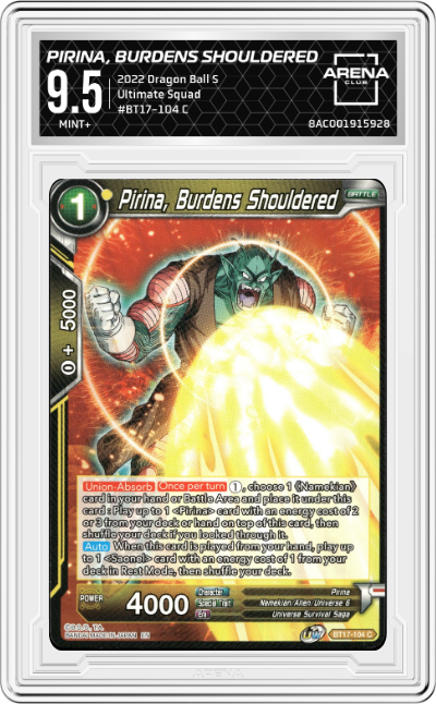 Pirina, Burdens Shouldered