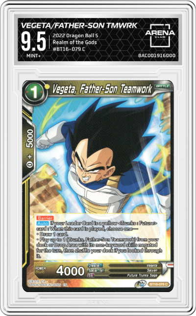 Vegeta, Father-Son Teamwork