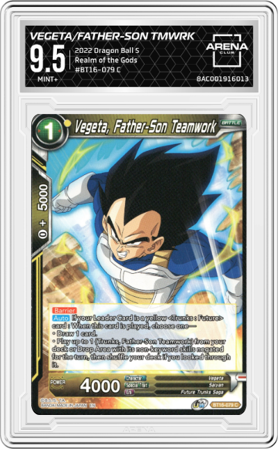 Vegeta, Father-Son Teamwork